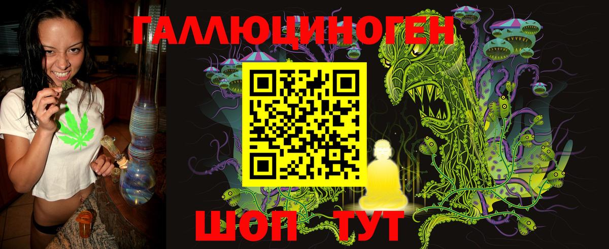 Галлюциногенные грибы Psilocybe  Вход с VPN  Чусовой 